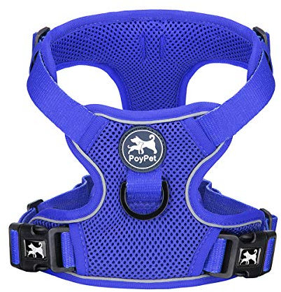 PoyPet Reflektierendes, weiches, atmungsaktives Hundegeschirr aus Mesh, erstickungsfreie, doppelt gepolsterte Weste mit verstellbarem Hals und Brust(Königsblau,S)