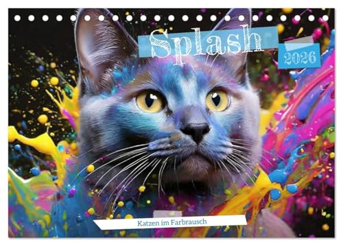 Splash - Katzen im Farbrausch (Tischkalender 2026 DIN A5 quer), CALVENDO Monatskalender: Splish Splash Katzenbad (CALVENDO Tiere)