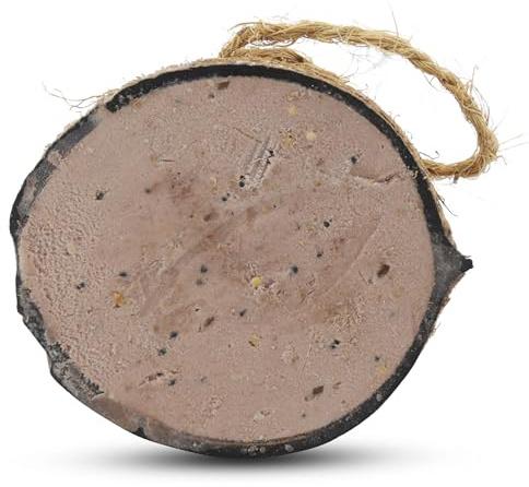 CJ Wildlife Kokosnuss Vogelfutter Gefüllt mit Erdnussbutter – Fettfutter für Wildvögel – mit Saat, Getreide und Rapsöl – zum Aufhängen, wiederverwendbar