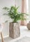Dekoleidenschaft Grand pot de fleurs exterieur rustique en bois recyclé