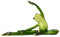 Frosch -Figur niedliche Lebendige Yoga Froschstatue Sammlerstücke Dekorative Harz Frösche Lustige elegante Froschfiguren für Regal Tabletop TV -Bank, Beinpressung, 7,68x1.97x4.53in, Froschstatue