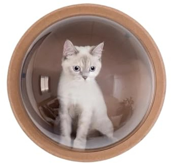 Transparentes Acryl-Hundezaunfenster 32cm Transparent Katze Nest DIY for Zaun Pet Look Out Durable Dome Acryl Blatt GlassHemisphärischen Fenster Geschenk(2pc-White washers)