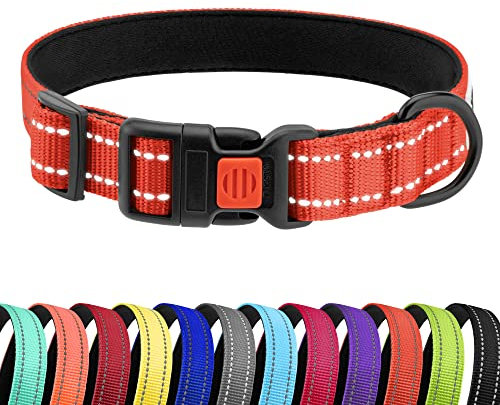 CollarDirect Reflektierendes Hundehalsband für kleinen, mittelgroßen, großen Hund, Welpen mit Schnellverschluss, Hündin, Rüde, 48 Sorten, Nylon Wasserfest