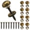 Lot de 8 vis décoratives en laiton avec capuchons, couvercle auto-taraudeuse décoratif pour portes d'armoires et fenêtres, vis de miroir, bois fabriqué à la main pour fixation de meubles (15 mm)