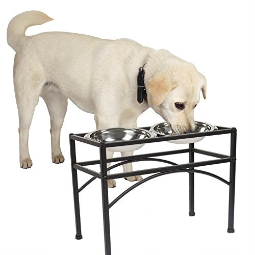 Double Raised Dog Bowl with Stand Stainless Steel Elevated Pet Feeder Dishes Non Spill Water Food Feeding Bowls for Large Dogs (L)