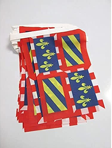 AZ FLAG Guirnalda 6 Metros 20 Banderas Borgoña 21x15 cm - Bandera Bourgogne - Francia 15 x 21 Cm - Banderines franceses