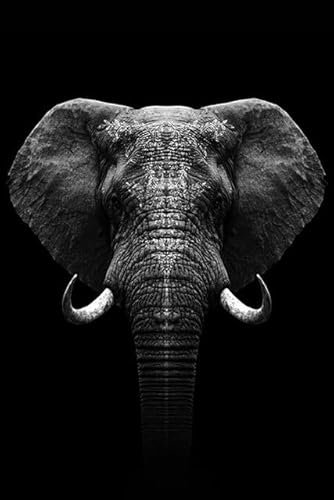 fairfocus Moderne Bilder Wohnzimmer Wand Dekorationen Wohnzimmer Leinwand Malerei Tier Wandkunst Löwe Elefant Panda Zebra Poster und Drucke Wandbilder für Wohnzimmer Dekoration Wohnkultur