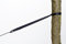 Amazonas Hammock Tree Hugger Protection and Extension for Suspension
