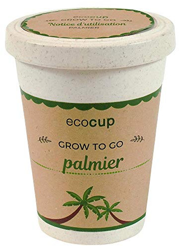 Feel Green Ecocup, Palmier Exotics, Idée Cadeau (100% Ecologique), Grow-Your-Own/Kit Prêt-à-Pousser, Plantes Dans Coffee Cup 10 x 8 cm, Produit En Autriche