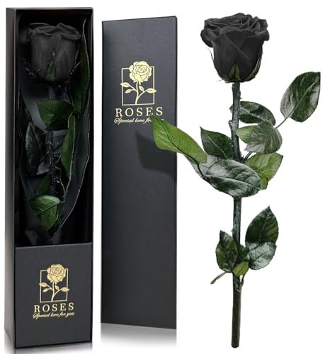 Infinity Rose in Geschenkbox, Ewige Rose mit Stiel Geschenke für Frauen Echte Rosen Eine Konservierte Blume für Mama Damen Freundin zum Geburtstag Valentinstag Weihnachten Muttertag - Schwarz