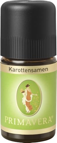 Karottensamen 12 x 5 ml