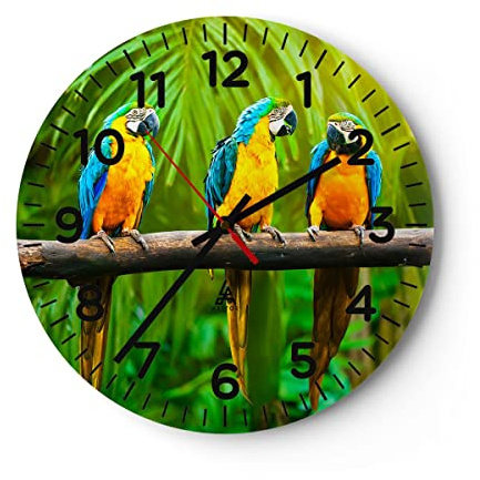 Modern Wanduhr Papageien Collorful Natur Vögel 30x30cm Rund Klein Wand Uhr Glas Analog Zimmeruhren Küche Büro Wohnzimmer Glasuhr Wall Clock Dekoration Design Wanddekoration Küchenuhr C4AR30x30-2696