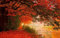 LHJOYSP 3D Puzzle Allianz Arena 1000 Teile,Natürliche Schönheit,Wald,Blätter,Fluss,75x50cm