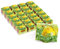 Bull & Bear 25er Set Mini Pflanzset mit Gartenkresse Samen im Topf 4,5cm, Kressesamen als Anzuchtset mit Pflegeanleitung