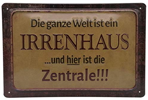 Die ganze Welt ist EIN Irrenhaus - hochwertig geprägtes Wandschild, Türschild, Büroschild, Dekoration 30 x 20 cm (Lustiger Spruch)