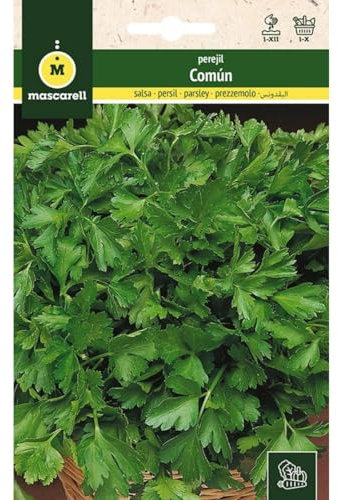 Mascarell Semillas, PEREJIL, Semillas Huerto, PEREJIL COMÚN, Crea tu Propio Huerto Urbano y Cultivo en Casa, Planta tus Plantas Naturales Hortícolas, 15 Gramos