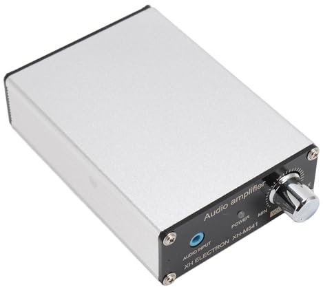 Digitaler Subwoofer -Verstärker mit überlegener Performance für Heimkino, Dual Channel Power Amp Board für HiFi XH -M541