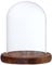Colcolo Cloche de Dôme en Verre avec Couvercle en Bois de Support de Paysage de Fleur de Base, Brown B