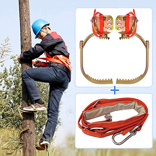 Ramponi Tree Climbing, Professionale Acciaio Inossidabile Ramponi per Alberi con Cintura di Sicurezza, per L'osservazione della Caccia, La Raccolta di Frutta, Cocco,600model