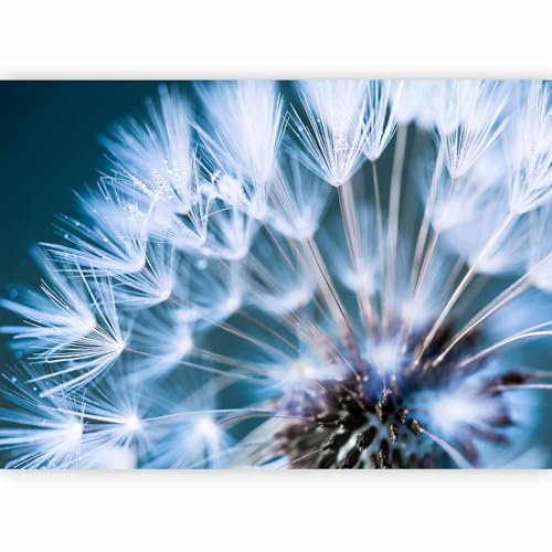 murando PREMIUM Fotomurales 250x175 cm Papel pintado tejido no tejido Decoración de Pared decorativos Murales moderna de Diseno Fotográfico Flores Diente De Leon b-B-0087-a-b