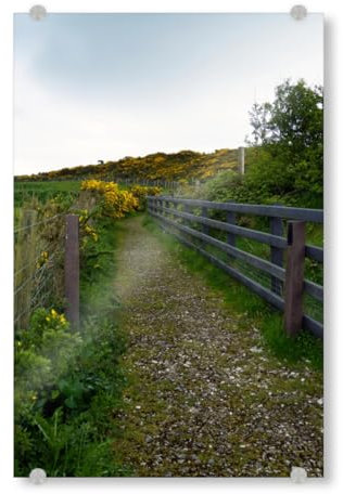 artboxONE Acrylglasbild 30x20 cm Natur Wanderweg in Nordirland - Bild Natur Atlantik atlantikküste