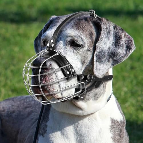 Hundemaulkorb aus Metall mit Lederriemen, Pitbull, Deutsche Dogge, Rottweiler, Sicherer Drahtkorb, Atmungsaktiv, Verstellbare Passform für Große Hunde (Silber)