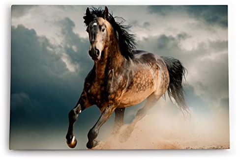 Paul Sinus Wandbilder Deko Kunstdruck 90x60cm Pferd Wildpferd Mustang Tierfotografie Wildnis