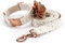 Spitzen-Hundehalsband-Set, modische Blumen, Welpen, Katzen, Hundehalsband, Kunst, bestickt, personalisierbar, verstellbar für kleine, mittelgroße und große Hunde (groß)
