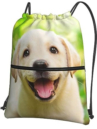 QQLADY Lustiger Labrador-Rucksack mit Kordelzug, wasserdicht, für Fitnessstudio, Sport, Yoga, Schwarz , One size