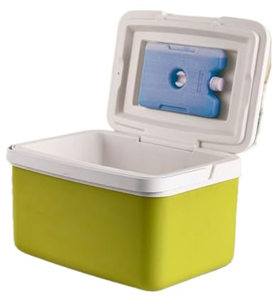 Travel Cooler Box, Camping Cooler Box, Leakproof Ice Cooler Box with Handle, Thermal Containers Leakproof Carrier for Drinks and Snacks Picknick Beach Travel Camping BBQ