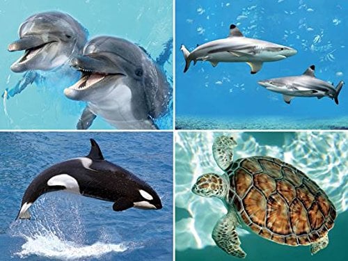 3 D Platzset Wassertiere, 2erSet, Tischset, Tier Tiere Fische Meerestiere