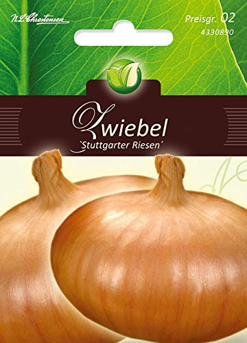 Zwiebeln, Stuttgarter Riesen