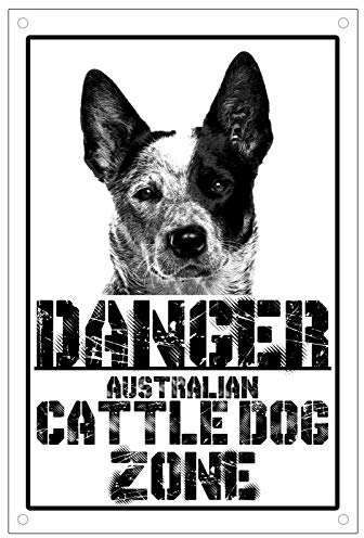 Vintage Danger Australian Cattle Dog Zone Teller Schild Metall Blechschild 20,3 x 30,5 cm Retro Home Kitchen Outdoor Garten Wanddekoration