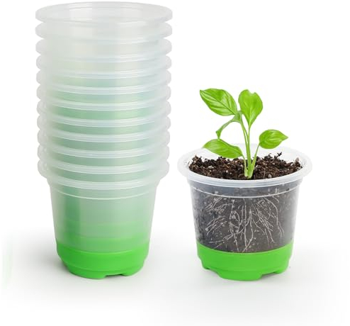MIXC Anzuchttöpfe 12 Stück 10cm Pflanztöpfe Transparent mit Silikonsockel Wiederverwendbar Blumentöpfe aus Kunststoff für Pflanzen Blumen Gemüse,Grün