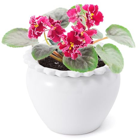 Lovely Ran Pot de fleurs violet africain en céramique auto-arrosant 16,5 x 11,7 x 10,2 cm simple plante auto-arrosage pot fleurs d'intérieur pots de fleurs herbacées pots de fleurs herbacées modernes