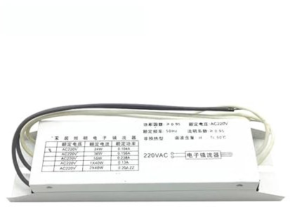 FANNIXI Ballast électronique Ballasts électroniques dédiés à Tube 2G11 H Universel 24W 36W 40W 55W, redresseur de Lampe Fluorescente AC220V 1 Sortie(Color:18-24W Universal)