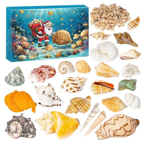 Weihnachts Muschel Adventskalender 2024, 24-Tagen Weihnachts Adventskalender Mit Schöne Muscheln Spielset Dekorativer Weihnachts Countdown Kalender Für Mädchen & Jungens