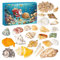 Weihnachts Muschel Adventskalender 2024, 24-Tagen Weihnachts Adventskalender Mit Schöne Muscheln Spielset Dekorativer Weihnachts Countdown Kalender Für Mädchen & Jungens
