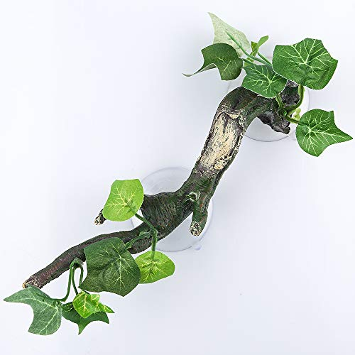 AQUA KT Terrarium d'angle pour Reptile avec Ventouse pour amphibien, lézard, Serpent, Escalade