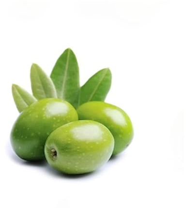 3 pcs olivenbaum samen, mediterrane pflanzen olive tree samen,olivenbaum winterhart gewächshaus balkon pflanzen garten säulenobstbäume winterharte kübelpflanzen geschenk bonsai samen