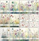 Bear and Bee 12, 24 oder 48 Dankeskarten mit leuchtenden Aquarell-Wildblumen auf der Vorderseite Multipack mit Umschlägen Voll recycelbar und umweltfreundlich (24 Karten mit Umschlägen)