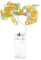 Amosfun Ananas-lichterkette Batteriebetrieben Lichterkette Für Weihnachten Party Hochzeit Heimdekoration Festliche Stimmung