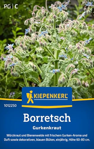 Kiepenkerl Borretschsamen Gurkenkraut 1012250 - Kräutersamen für Würzkraut und Bienenweide mit Inhalt für 50 Pflanzen und einer Wuchshöhe von 60 bis 100 cm - Saatgut