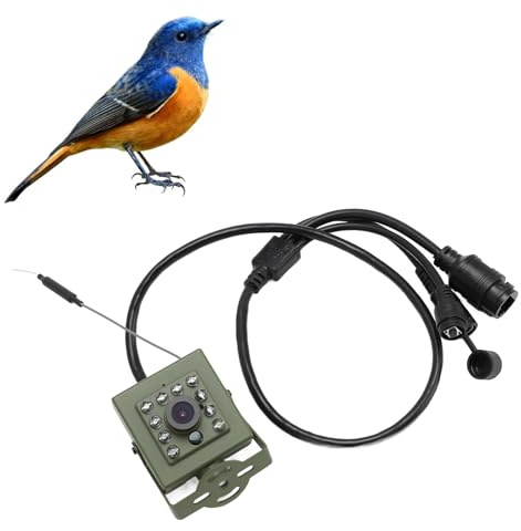 Garsent Innenverteidiger Im Freien, Vogelkastenkamera mit Nachtsicht, Niedrige Outdoor -Kamera mit Weitwinkelobjektiv für Android (IMX307 CMOS -Sensor 2MP)