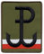 Fighting Polen Anker mit polnischer Flagge - Olive - Aufnäher - bestickter Aufnäher / Abzeichen / Emblem