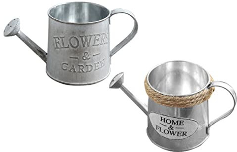 HAWILLOSCH 2piezas Arreglo Floral Regadera De Metal Práctica y Duradera Decoración para Jardín Interiores