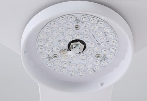 Newday Led Replacement for Ceiling Fan DY1043T,DY1235T