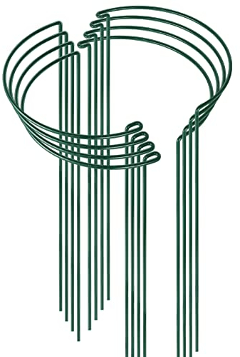 HiGift 8 Pack 24 Inch Plant Support Stakes, 10 Wide x 24 High Half Round Metal Garden Plant Stake Peony Support Cage, Green Plant Support Ring Border for Tomato,Hydrangea,Flower Indoor Outdoor