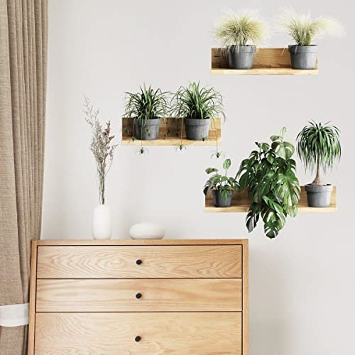Luxylei Green Potted Plants Leaves Wall Stickers 3d Hanging Shelves Plants Wall Art Decals Decorations for Bedroom Living Room Murals