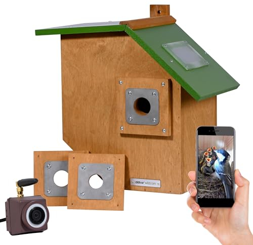 dobar® Großer Nistkasten Flachdach aus Holz inklusive HD WiFi-Kamera und App mit austauschbaren Einfluglöchern - 35,5 x 22,5 x 38,5 cm - Grün-Braun